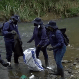 Realizan jornada de limpieza en las orillas de los ríos de Cali