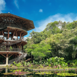 Un paraíso natural: El Jardín Botánico de Cali abre sus puertas