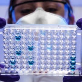 ¿Hay que alertarse? Este es el virus que tiene azotado a la India