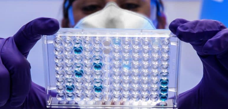 ¿Hay que alertarse? Este es el virus que tiene azotado a la India