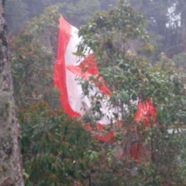 Avioneta se estrelló en zona boscosa de Cundinamarca: Fallecieron dos personas