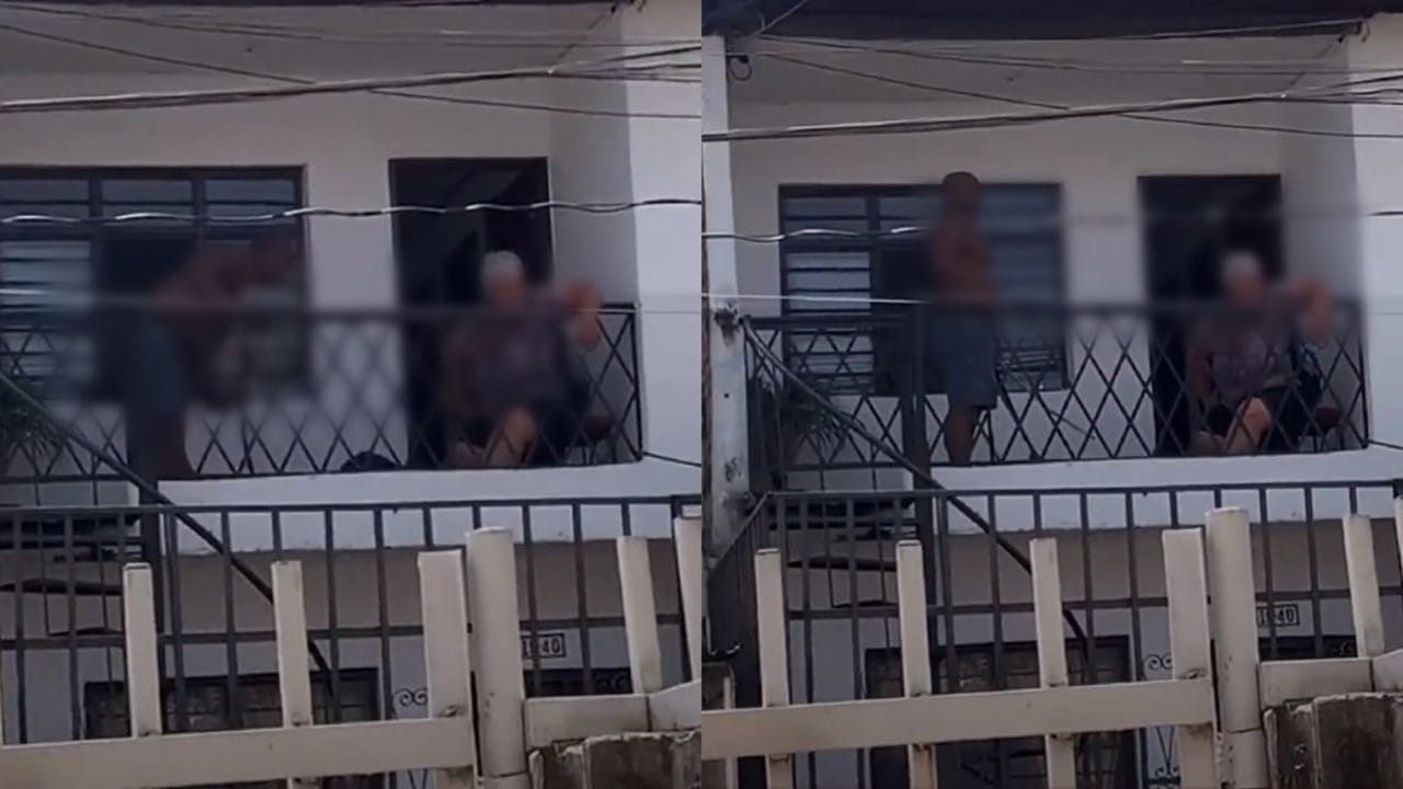 Video: Indefensa perrita fue víctima de acto de crueldad en Bucaramanga