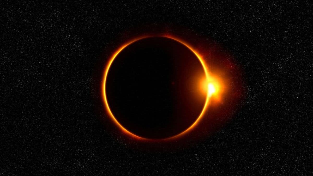 ¿Cómo disfrutar el eclipse solar sin arriesgar sus ojos? Esto es lo que debe saber