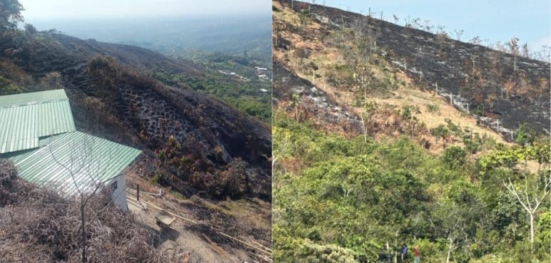 Emergencia ambiental en La Buitrera: Habitantes alertan daños ecológicos