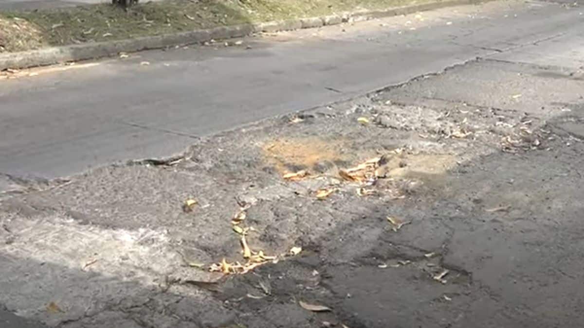 Problema de basuras en Cali: Denuncian que la misma comunidad es la que contamina