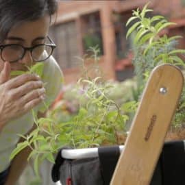 Huertas caseras: alimentación saludable "de la huerta a la mesa"