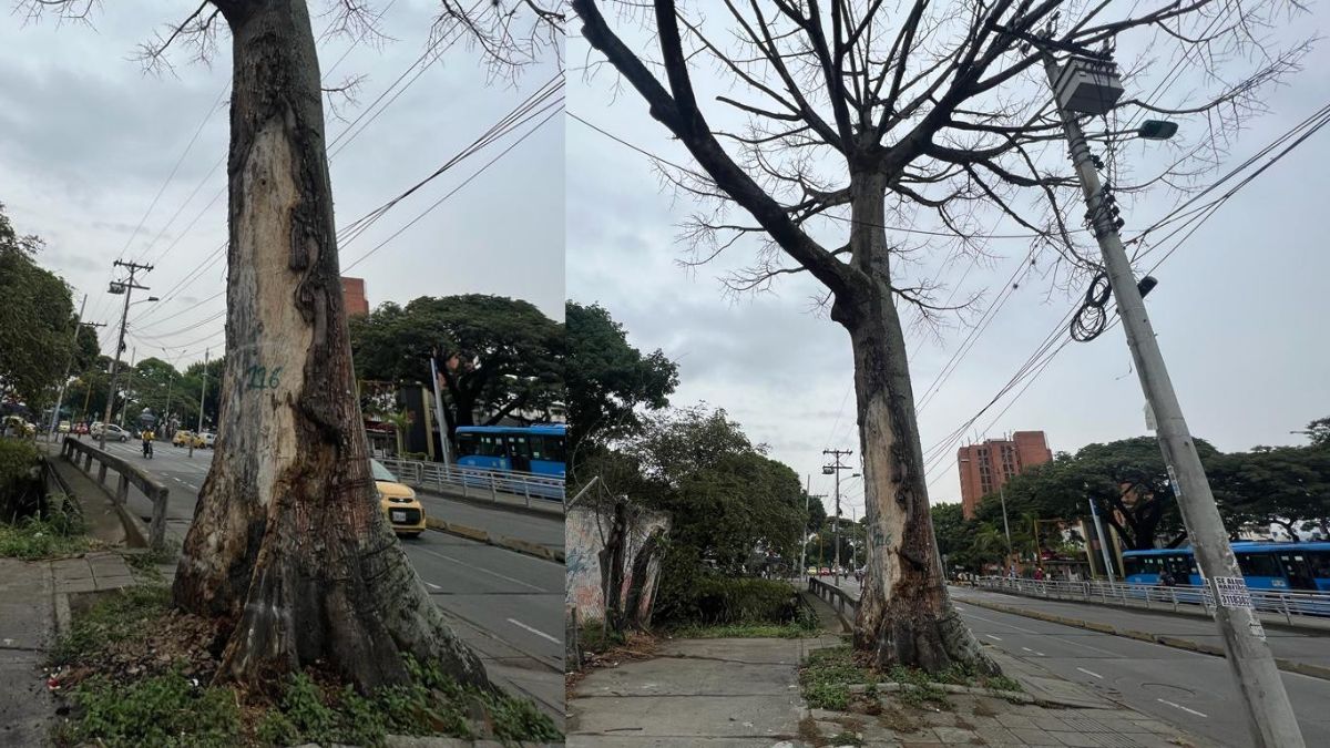 Conozca los barrios que se quedarán sin luz y agua este lunes