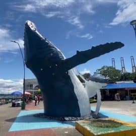 Llega 'La Luchona' a Buenaventura: Gran monumento a las ballenas jorobadas
