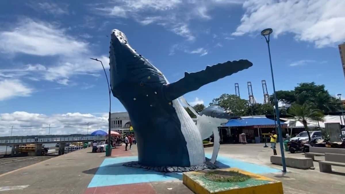 Orgullo vallecaucano: Buga, primer municipio del país en la Red Mundial de Turismo Religioso