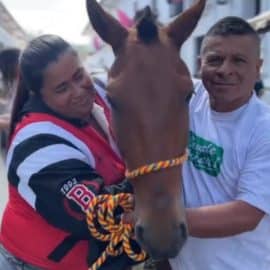 Video: Más de 70 caballos 'carretilleros' se "jubilaron" con un emotiva despedida