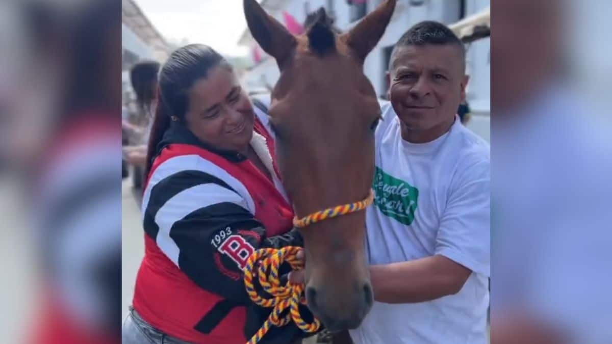¡Gracias héroes! Tres caballos cumplieron su tiempo de servicio en la Policía