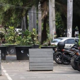 ¿Que las quiten? Reacciones frente al posible retiro de materas del Parque del Perro