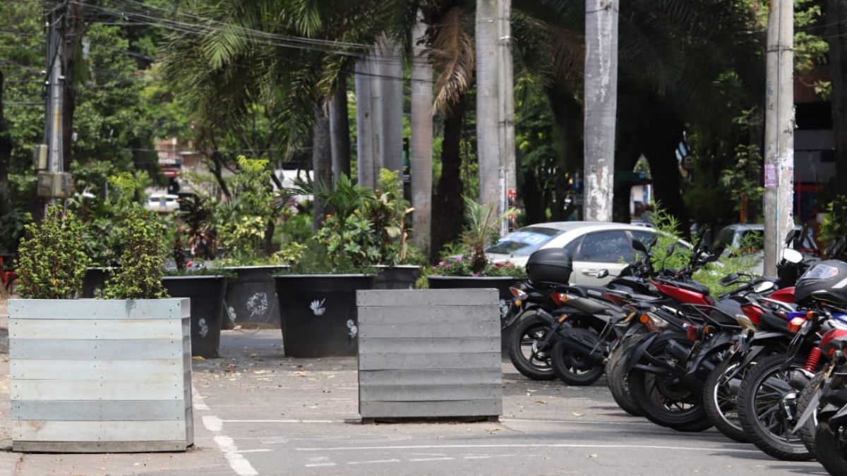 Es oficial: Inició el desmonte de las materas ubicadas en el Parque del Perro