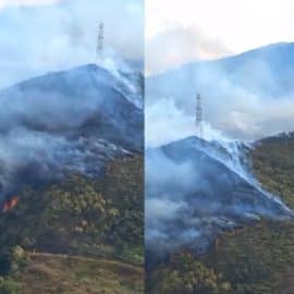 ¡Atención! Reportan incendio forestal en el oeste de Cali que amenaza al Jardín Botánico
