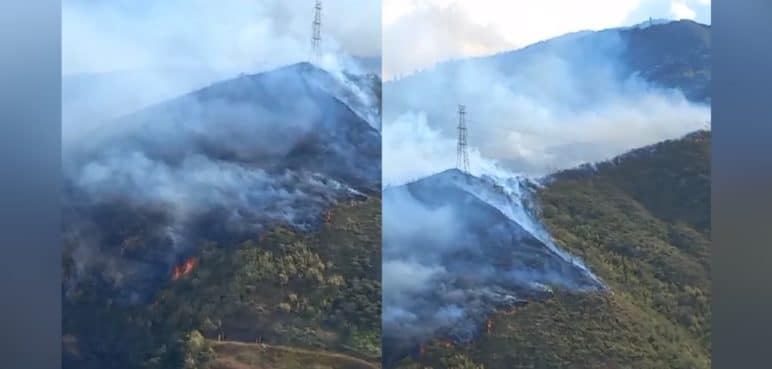 ¡Atención! Reportan incendio forestal en el oeste de Cali que amenaza al Jardín Botánico