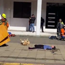 Video: Perrito sorprendió con su actuación en medio de simulacro