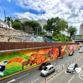 Murales del Túnel Mundialista dividen la opinión de los caleños: ¿Usted qué piensa?