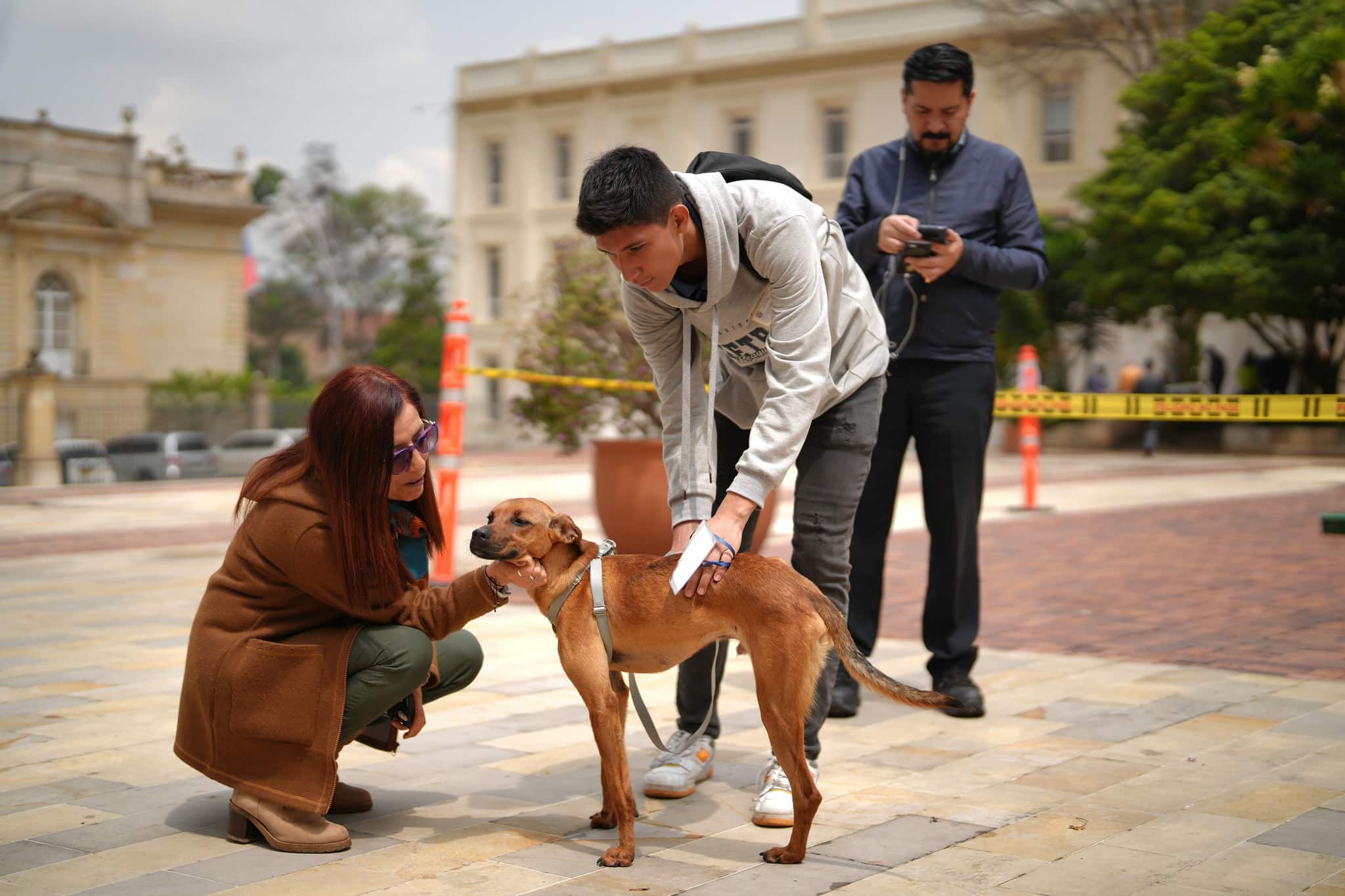 curso-para-tener-una-mascota-este-es-el-proyecto-de-ley-15-11-2023