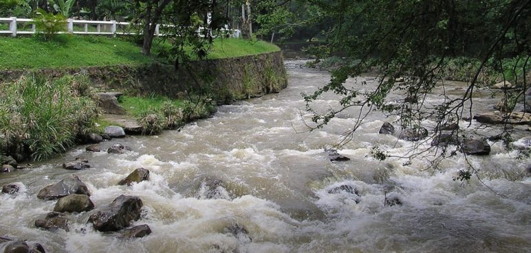 Crece la alerta: Procuraduría reveló presencia de plomo y mercurio en el río Cali