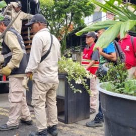 Es oficial: Inició el desmonte de las materas ubicadas en el Parque del Perro