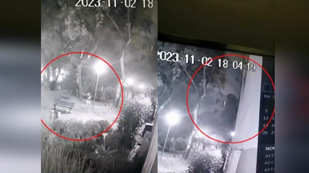 Video: Niña sobrevivió milagrosamente luego de caer de un sexto piso