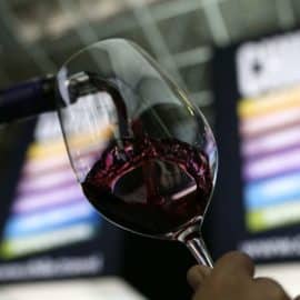 ¿Por qué algunas personas tienen dolor de cabeza cuando beben vino tinto?
