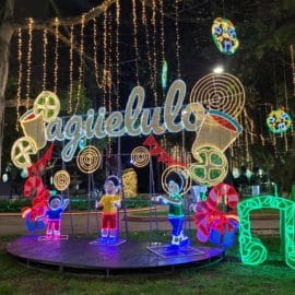 ¡Ya se encendió el tradicional alumbrado navideño en Cali! Conozca los horarios