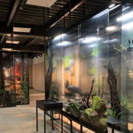 ¡Una nueva cara! Así se ve el Museo de la Biblioteca Departamental a sus 60 años