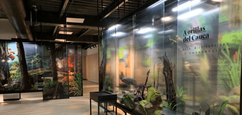 ¡Una nueva cara! Así se ve el Museo de la Biblioteca Departamental a sus 60 años