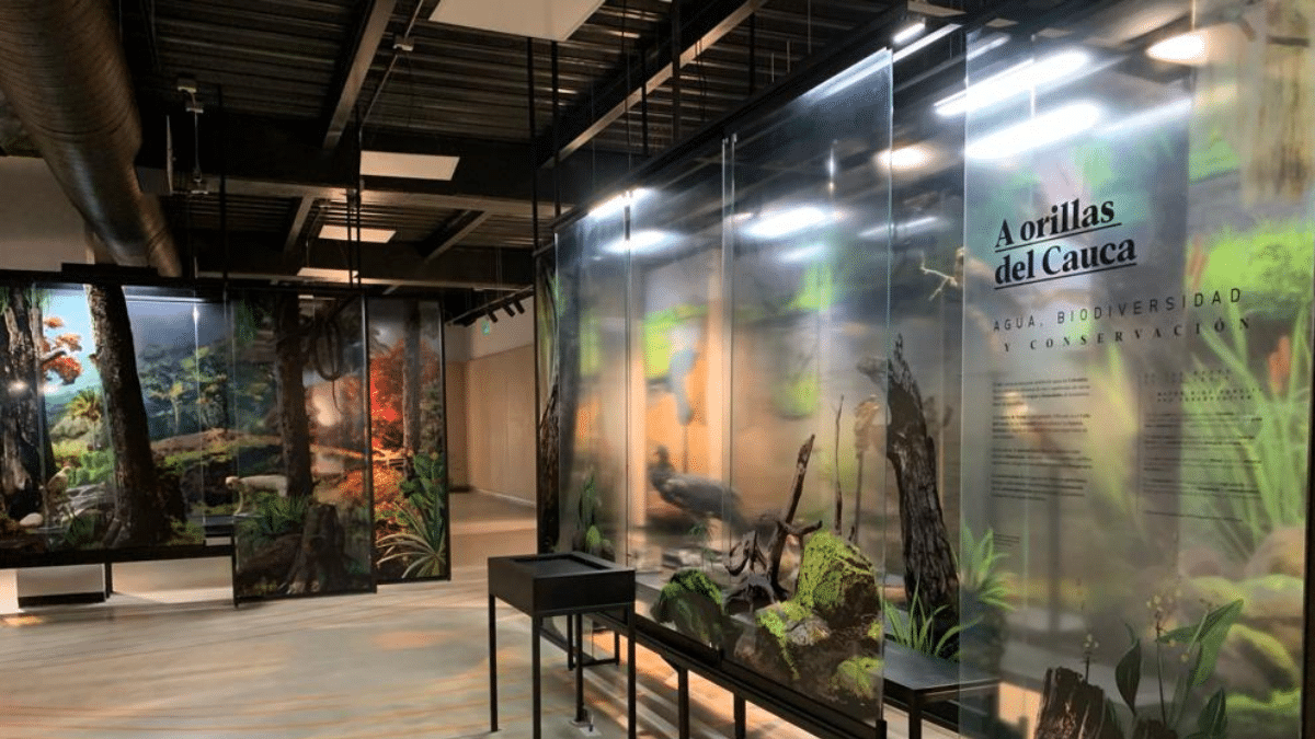 ¡Una nueva cara! Así se ve el Museo de la Biblioteca Departamental a sus 60 años