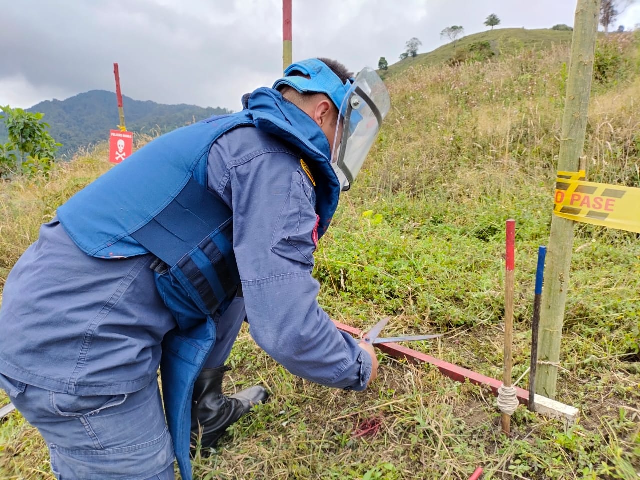 Hombre falleció luego de ser atacado por enjambre de abejas en Vijes, Valle
