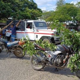 Comunidad de Ginebra adelanta bloqueos en la vía que conduce al municipio