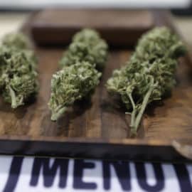 Se hundió: Archivan proyecto para legalizar el cannabis de uso recreativo