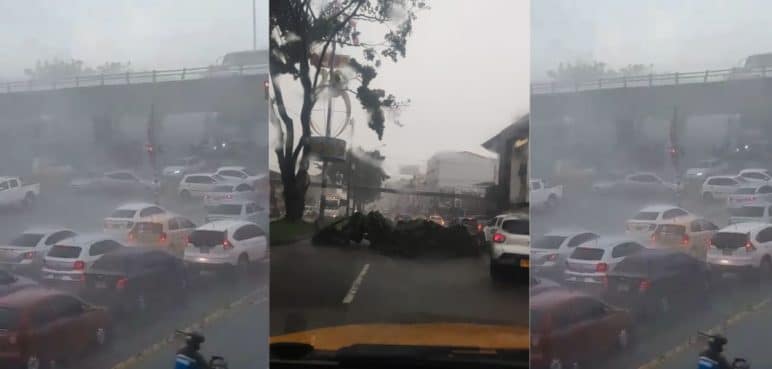 Árboles caídos: Se reportan fuertes lluvias en algunos sectores de Cali