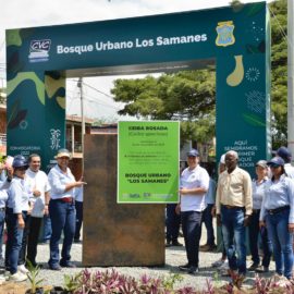 Con una ceiba, el Valle completó los 8 millones de árboles sembrados