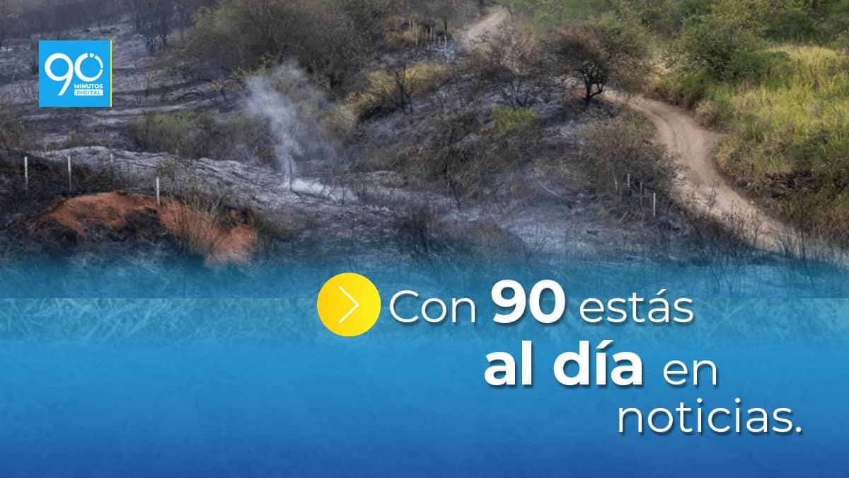 Así se vivió una nueva jornada ‘Volvamos a mi Cali bella' en el oriente de Cali