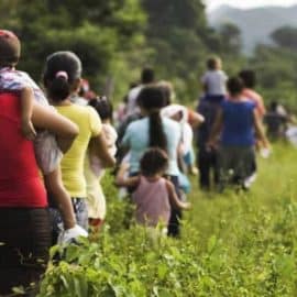 Preocupante: El desplazamiento forzado ha incrementado en el Valle del Cauca