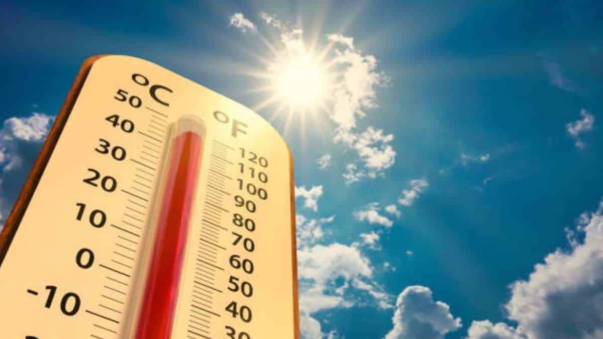 El calor podría empeorar: Conozca cuál será el mes más crítico