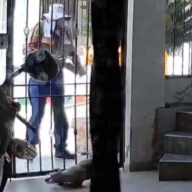Trabajador de reconocida empresa maltrató a un perrito en Ciudad del Campo