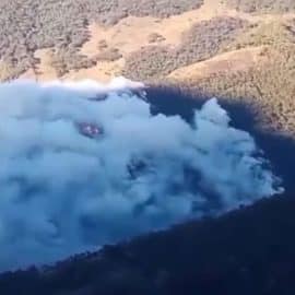 Incendio de Pradera no ha sido controlado: Organismos de socorro piden ayuda