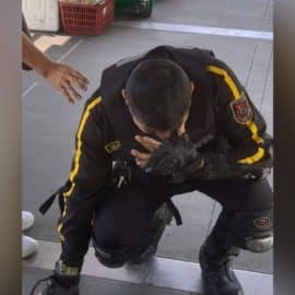 Un guarda de seguridad fue atacado por un hombre que intentaba colarse al MÍO