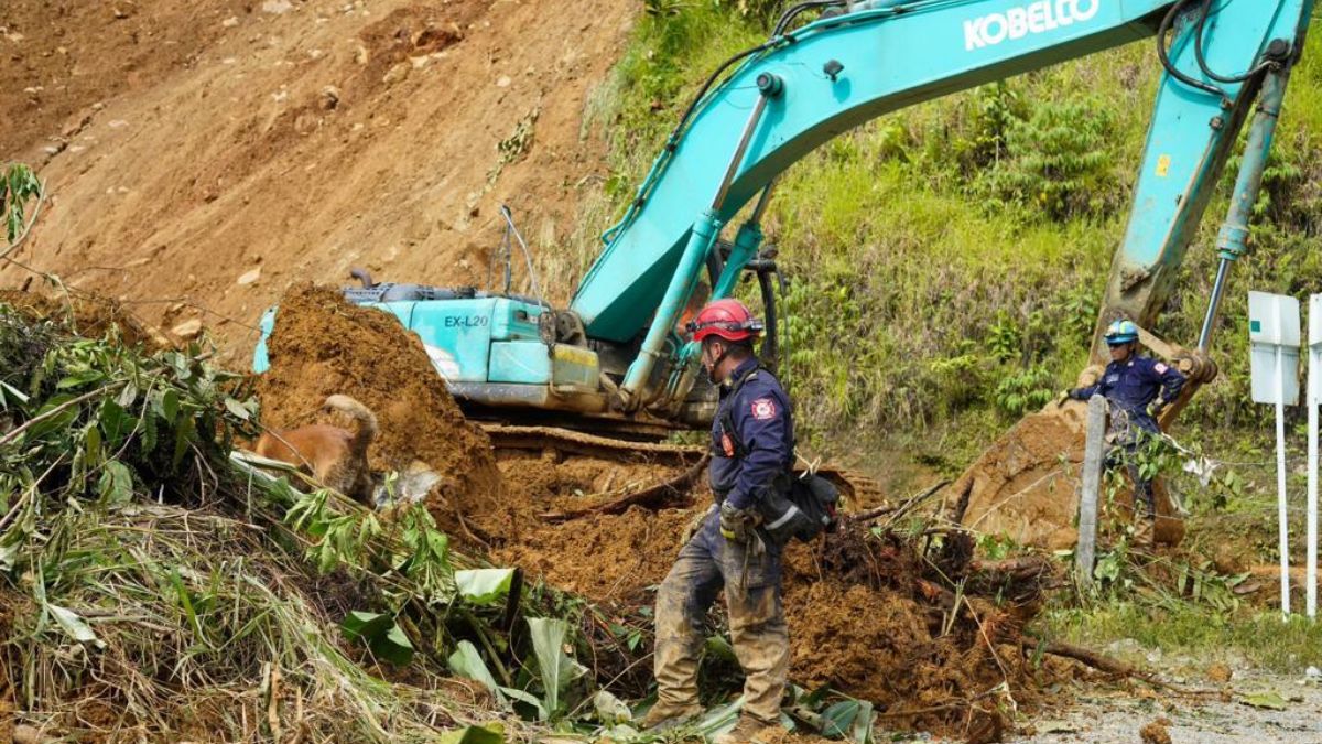 La conmovedora historia de 'Teo': El perrito que sobrevivió a la tragedia del Chocó