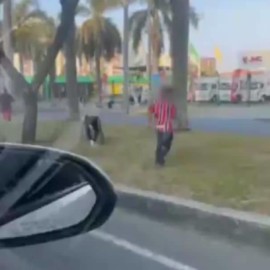 ¿Y el fútbol en paz? Hinchas del América y Nacional se enfrentaron en Cali y Armenia
