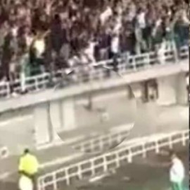 Video: Hincha del Cali sigue con pronóstico reservado tras caer de tribuna