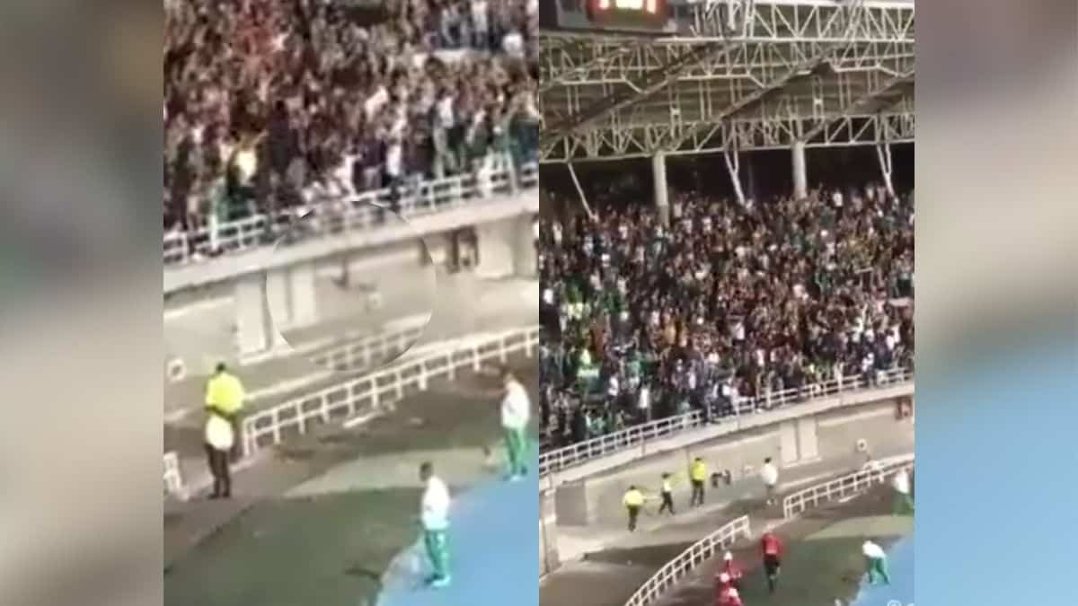 Un canterano regresó a Casa: Deportivo Cali confirma su refuerzo 14