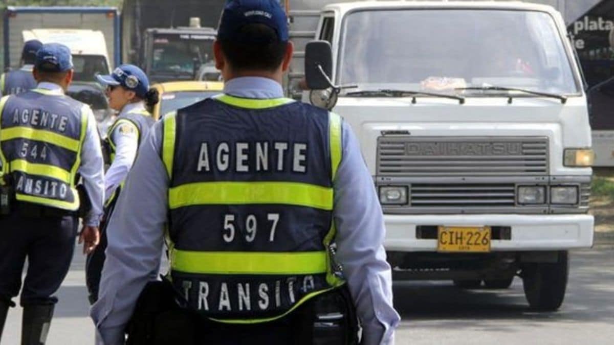 ¿Lo pueden multar si tiene los vidrios de su vehículo polarizado? Esto se sabe