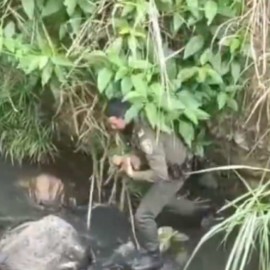 Video: Policía rescató a cachorro que habría sido abandonado en el río Cali