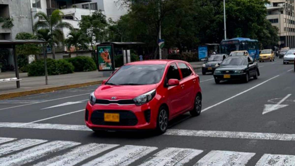 Pico y Placa en Cali para este viernes, 19 de julio