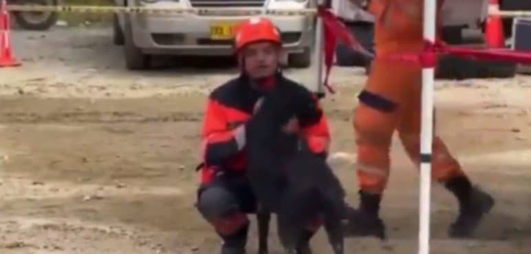 La conmovedora historia de 'Teo': El perrito que sobrevivió a la tragedia del Chocó