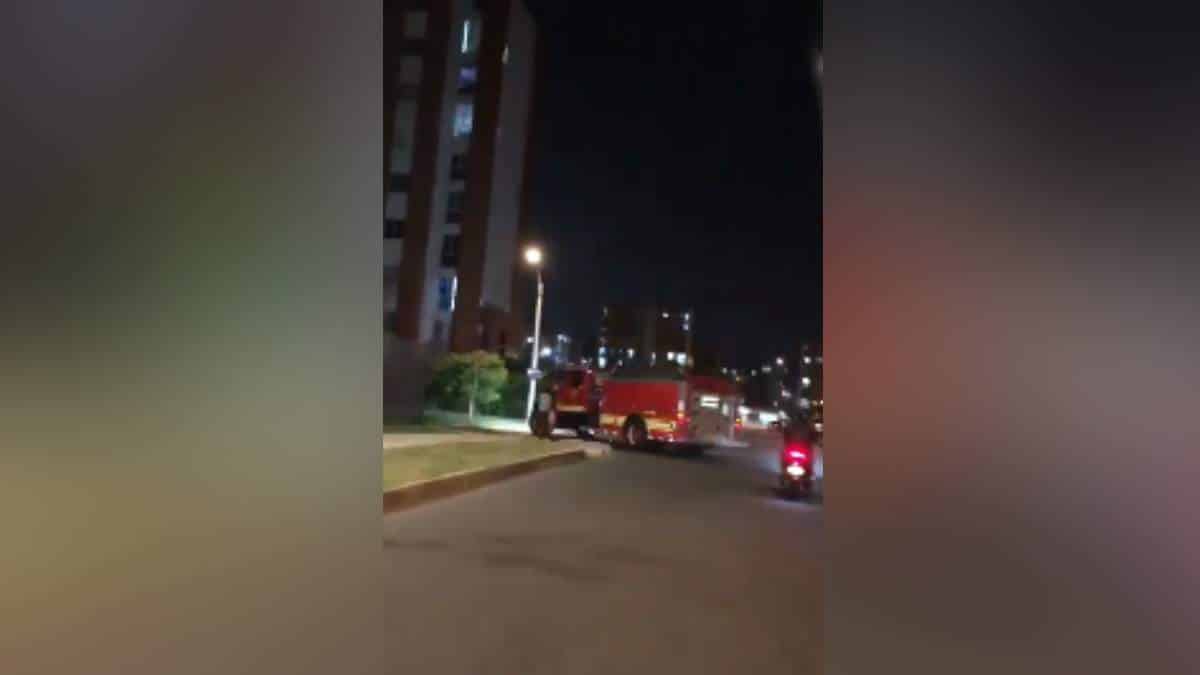 Ya llegaron a Cali los 300 agentes de la Policía, ¿Dónde estarán ubicados?
